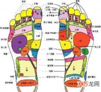 足疗穴位图 脚底的穴位图及功能 足疗穴位图