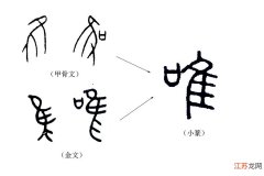 成语“唯唯诺诺”中的“唯”与“诺”都是什么意思？ 唯唯诺诺