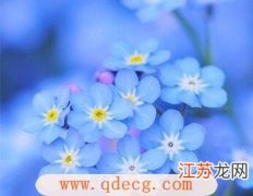 助桃花运的风水物品