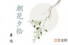 再读《范爱农》 范爱农读后感