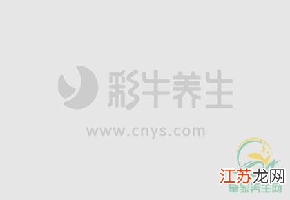 初学者练习太极拳需注意的五个要点